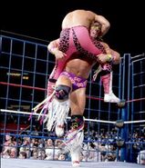 Steel Cage Images.9