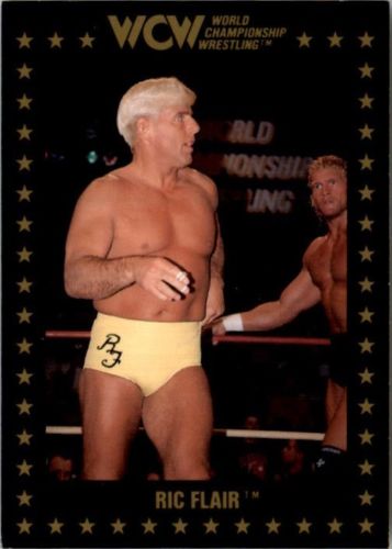 1991 Wcw Collectible Trading Cards Championship Marketing Ric Flair No39 Pro Wrestling 0848