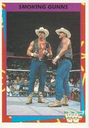 1995 WWF Wrestling Trading Cards (Merlin) Smoking Gunns (No.100)