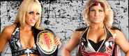 Michelle McCool (c) vs. Beth Phoenix in an Extreme Makeover match for the WWE Women's Championship