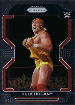 Hulk Hogan/Merchandise | Pro Wrestling | Fandom
