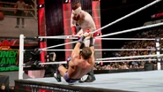 6-13-16 Raw 27.jpg (67 KB)