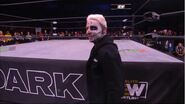 AEW Dark 146 2.jpg (55 KB)