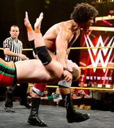 NXT 225 Photo 14