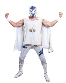 Aramis (luchador)
