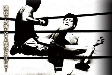 Inoki Genome Federation | Pro Wrestling | Fandom