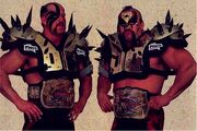 WWF World Tag Team Champions