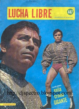 Lucha Libre 447