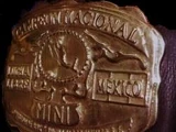 Mexican National Minis Championship