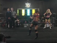 Shimmer 40.00003.jpg (36 KB)