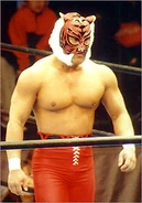 Tiger-Mask-IV.jpg (46 KB) Yoshihiro Yamazaki: Tiger Mask IV