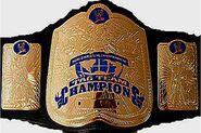 WWE Smackdown Tag Team Championship