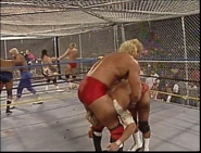 Wrestlewar 1991 25.jpg (102 KB)