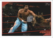 2009 WWE (Topps) Primo (No.6)