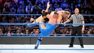 Elimination Chamber 2017.6.jpg (125 KB)