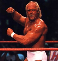 HulkHogan2