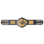 nWo Spray Paint WCW Championship Mini Replica Title