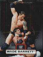 2010 WWE Platinum Trading Cards (Topps) Wade Barrett (No.114)