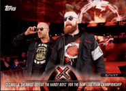 2018 WWE Road to WrestleMania Trading Cards (Topps) Cesaro & Sheamus (No.39)