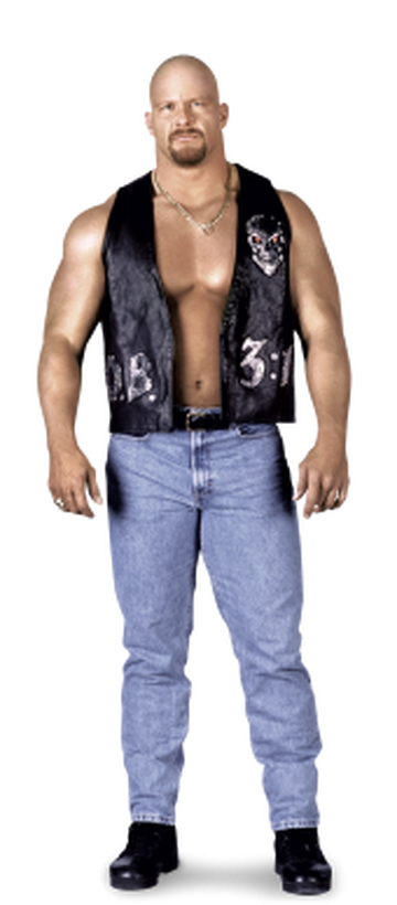 The Rock, Pro Wrestling Wiki