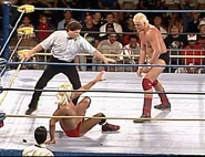 Wrestlewar 1991 9.jpg (108 KB)