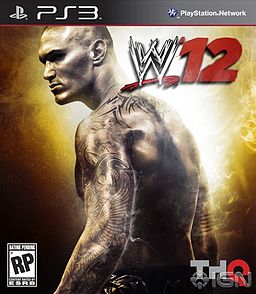 how inurued can someone get wwe 2k17