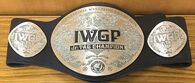 IWGPJr.TagBelt