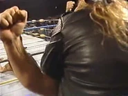 WrestleWar 1991.00038.jpg (17 KB)