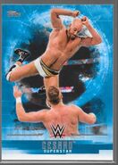 2017 WWE Undisputed Wrestling Cards (Topps) Cesaro (No.8)