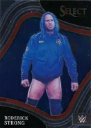 2022 WWE (Panini Select) Roderick Strong (No.245)
