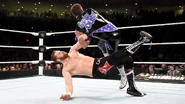 WWE Roadblock 2016.33.jpg (90 KB)