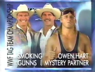 The Smoking Gunns (c) vs. Owen Hart & Yokozuna for the WWF Tag Team Championship