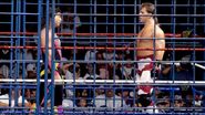 Steel Cage Images.7
