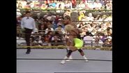 WrestleMania IX.00035