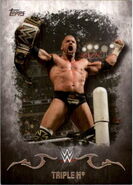 2016 Topps WWE Undisputed Wrestling Cards Triple H 35