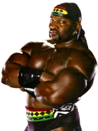 Ahmed Johnson (Nation Of Domination)