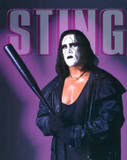 Sting5