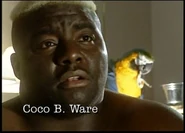 Beyond the Mat.00007.jpg (15 KB)