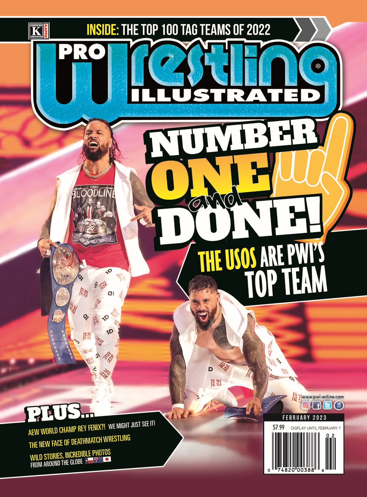2022 PWI Top 100 Tag Teams Pro Wrestling Fandom