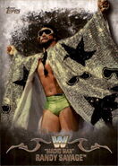 2016 Topps WWE Undisputed Wrestling Cards Macho Man Randy Savage 71