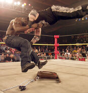 TNA 12-11-02 38.jpg (40 KB)