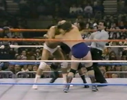 1.16.88 WWF Superstars.00003.jpg (75 KB)