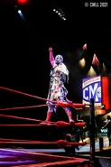 CMLL 7-23-21 4.jpg (151 KB)