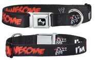 The Miz "I'm Awesome" Dog Collar