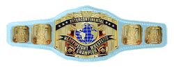 Wwe Intercontinental Championship Champion Gallery Pro Wrestling Fandom