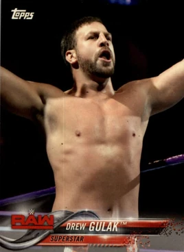 2018 WWE Wrestling Cards (Topps) Drew Gulak 29