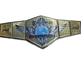 Discover Pro Wrestling Title