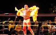 Hogan during his HULKAMANIA Tour of Australia