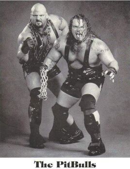 The Pittbulls