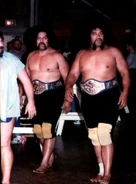 The Wild Samoans (April 12, 1980 - August 9, 1980)